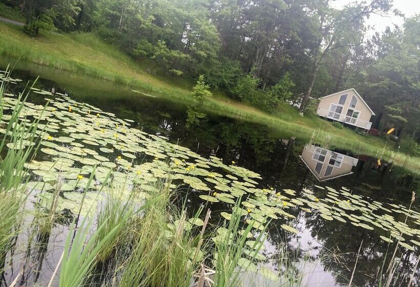 Our Wielgot Tradition