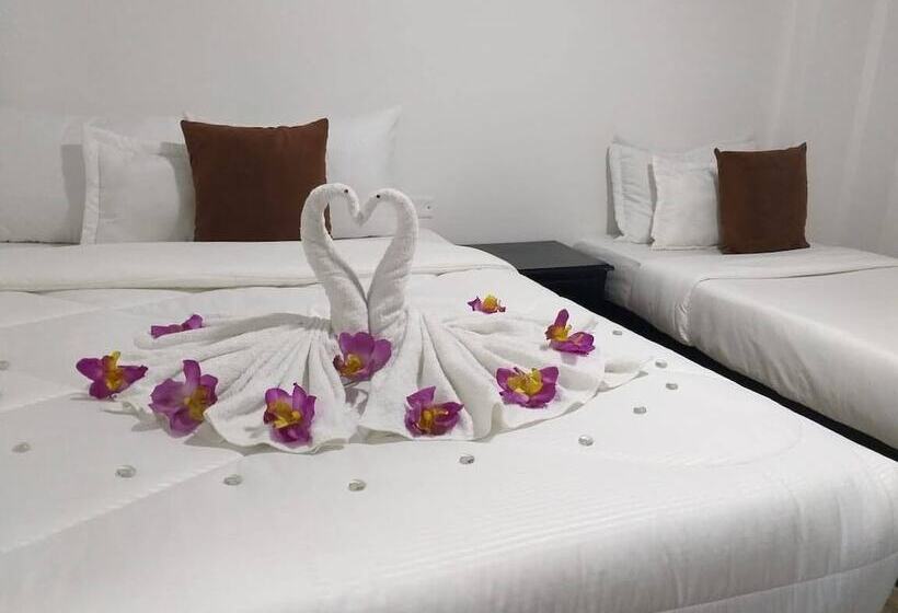 פנסיון Casa Turística Feria Nova