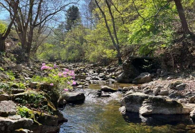 Gapyeong Hidden Valley Pension