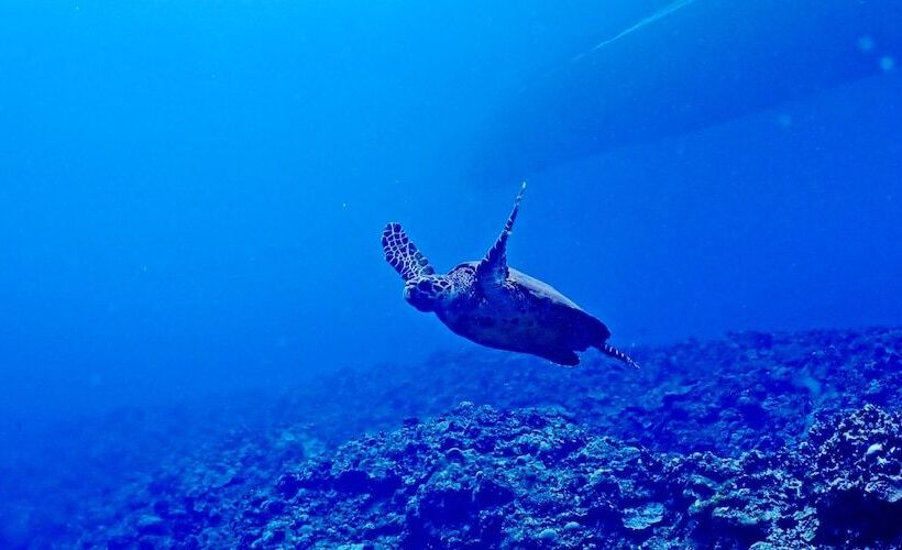 פנסיון Rakuten Stay Naha Tomari Port