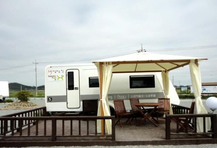 פנסיון Shinan Sea Salt Healing Camp