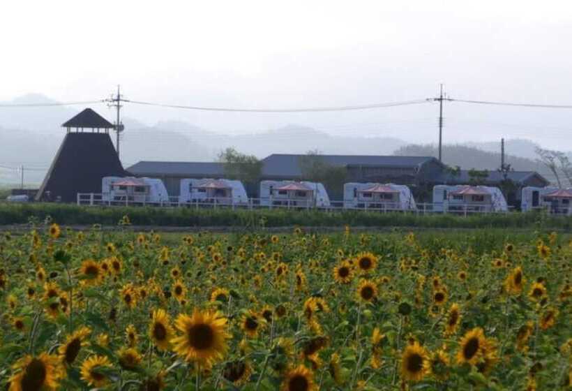 פנסיון Shinan Sea Salt Healing Camp