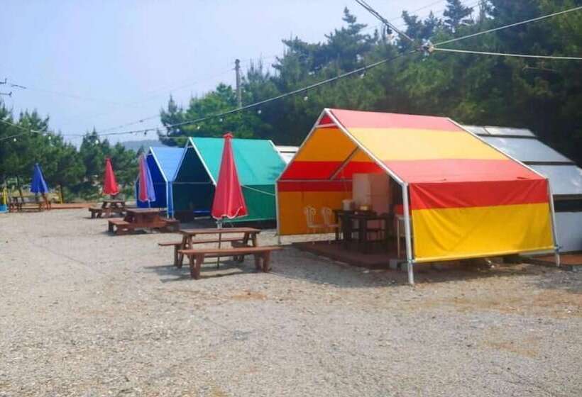 Pension Taean Sinbatdeu Ui Moheom