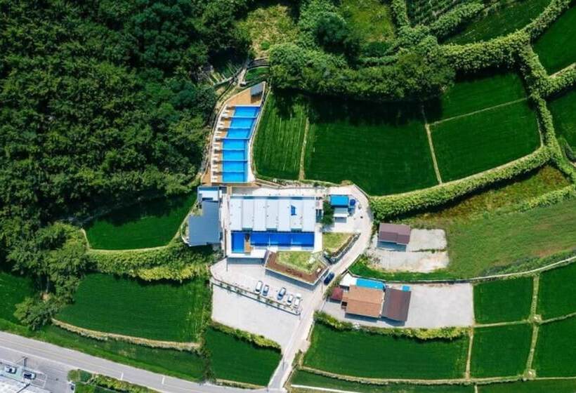 Pohang Cheonnyeonbawi Pension