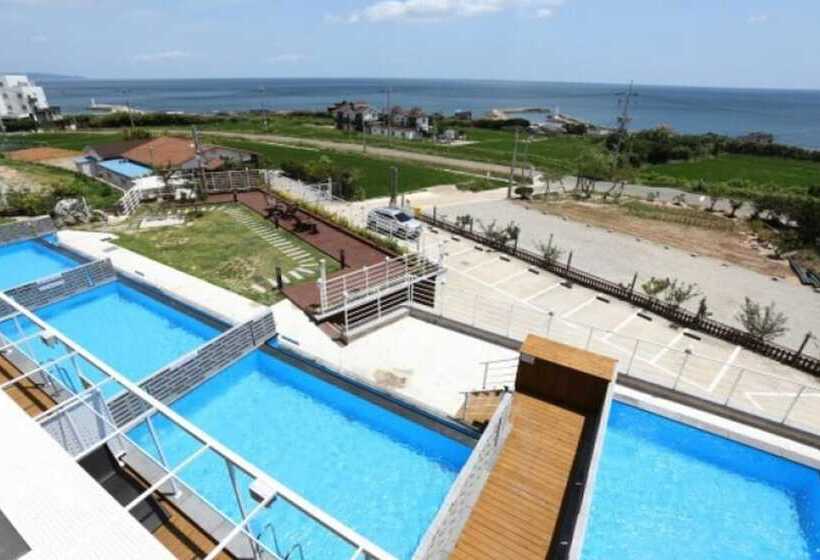 Pohang Cheonnyeonbawi Pension