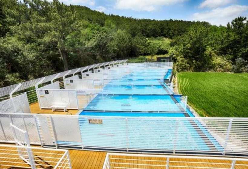 Pohang Cheonnyeonbawi Pension