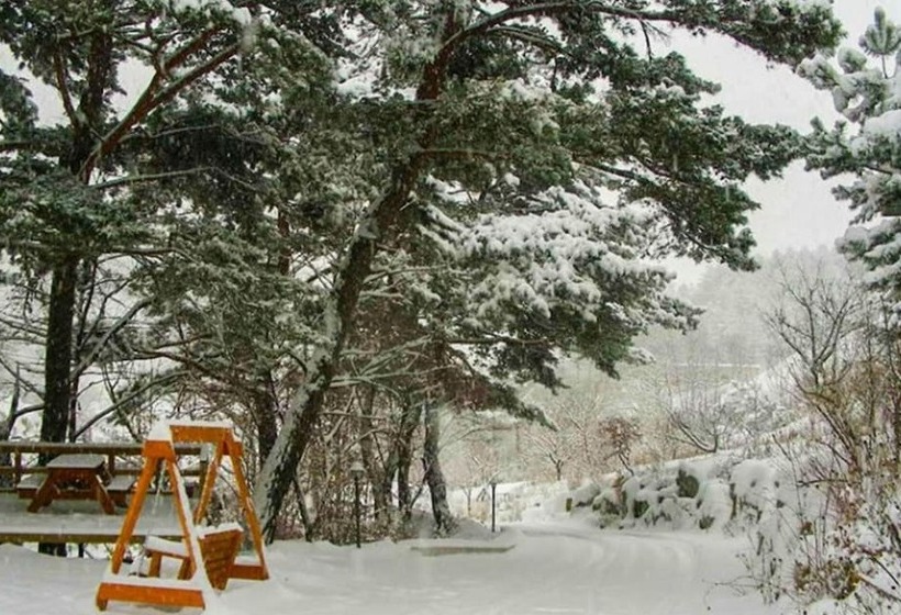 Pyeongchang Eomeonipumsok Maeul Pension