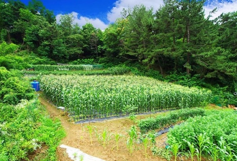 Samcheok Supsokbada Pension