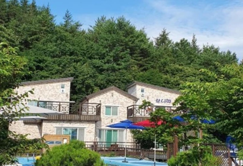 Sokcho Bonita Pension