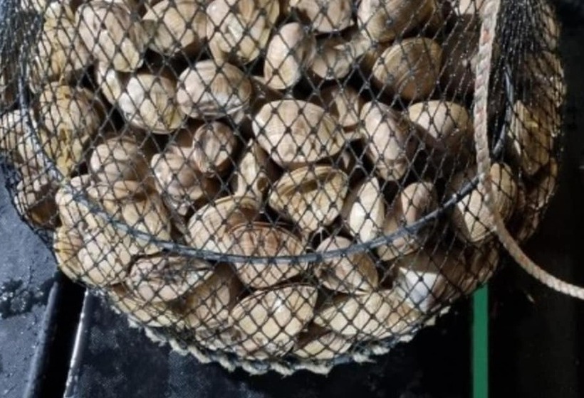 Taean Blue Sea And Pension