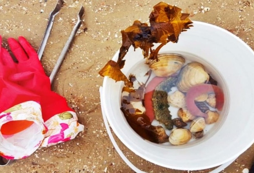 Taean Blue Sea And Pension