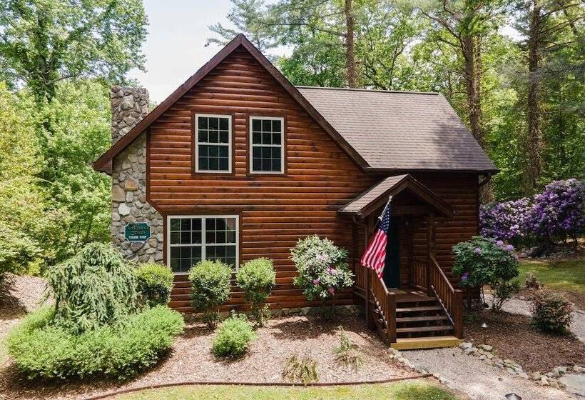 Tree Top Lodge   Gorgeous Lake Cabin With Hot Tub & Magnificent Views Of Forests And Mountains! 3 Be