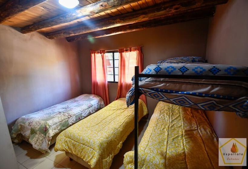 Cabañas Uspallata
