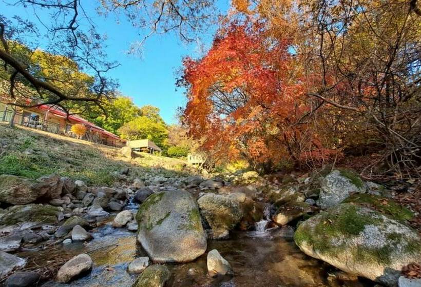 Yanggu Gaeguri Pension