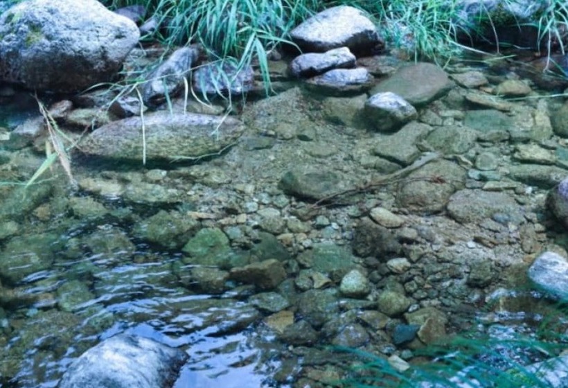 Yanggu Gaeguri Pension