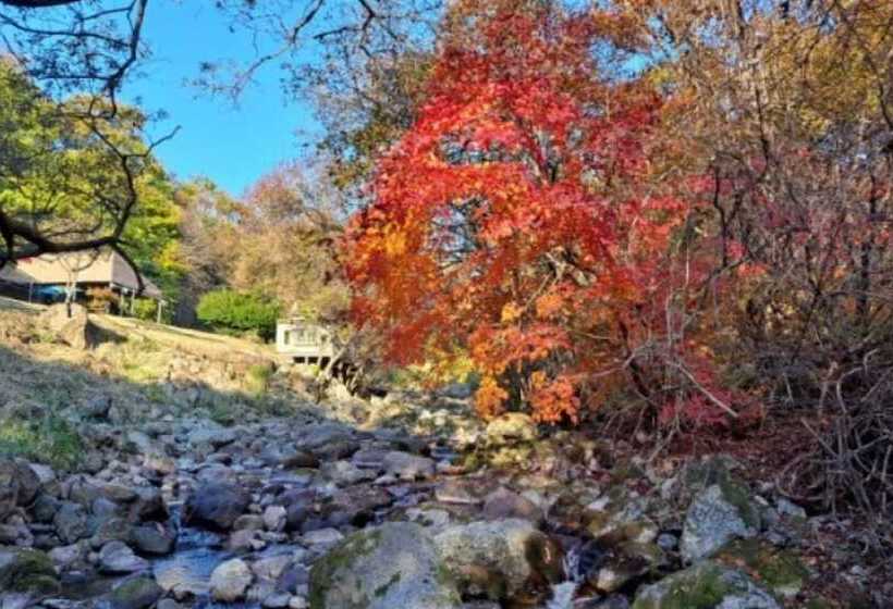 Yanggu Gaeguri Pension