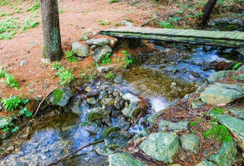 Yangpyeong Log Camp Pension