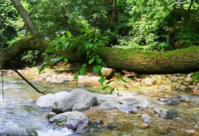 Yangpyeong Smile Cottage Pension