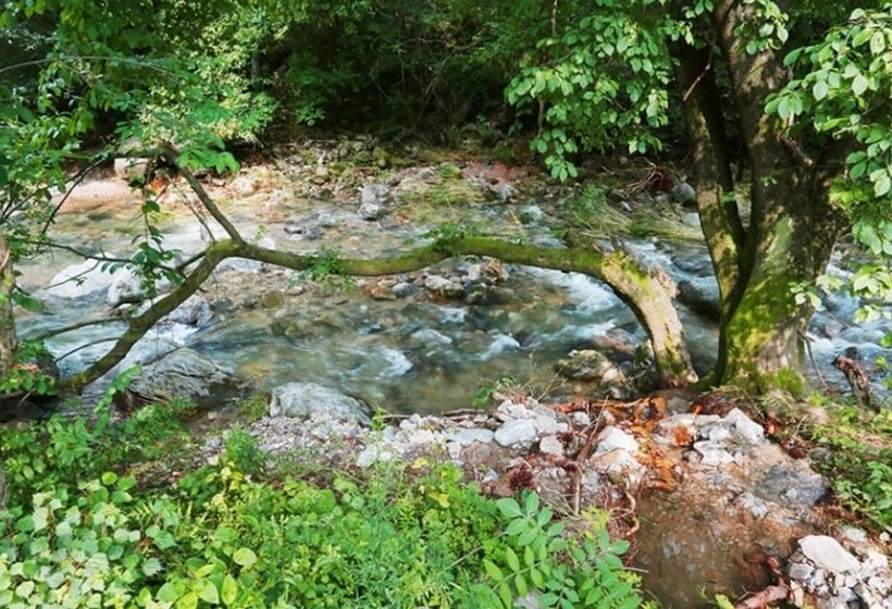 Yangpyeong Smile Cottage Pension