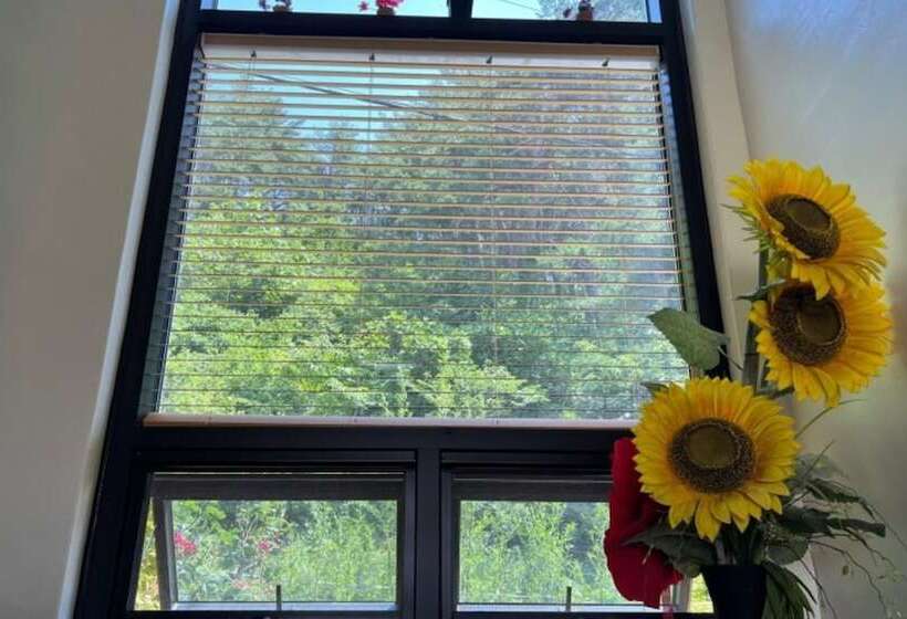 Yangyang Hajodae Conto Hotel Pension