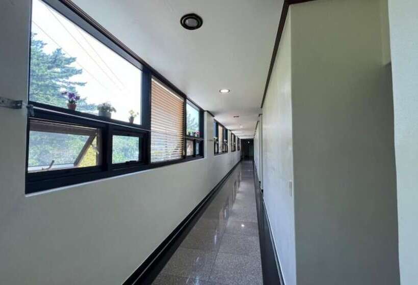 Yangyang Hajodae Conto Hotel Pension