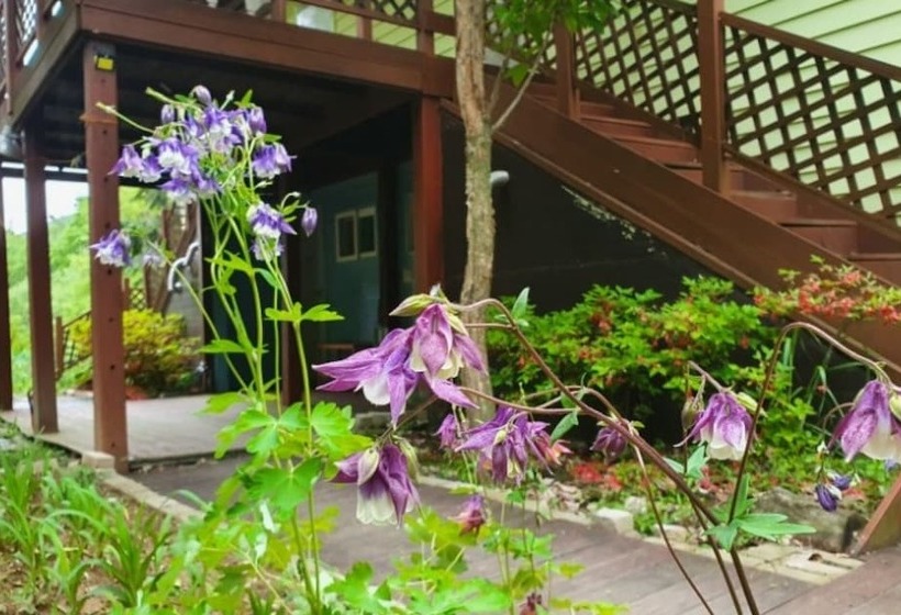 Yecheon Mulmalgeun Sangol Pension