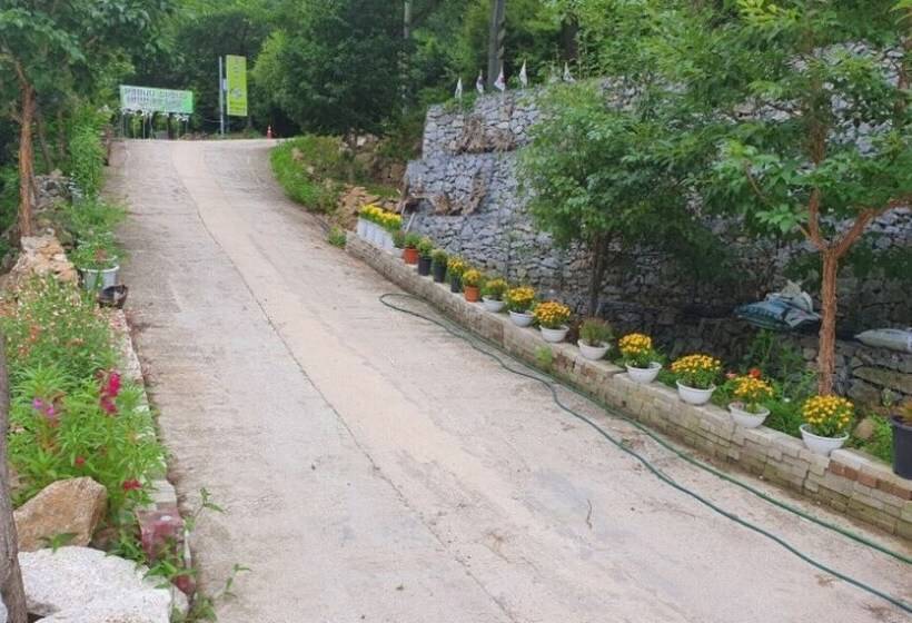 Yecheon Mulmalgeun Sangol Pension