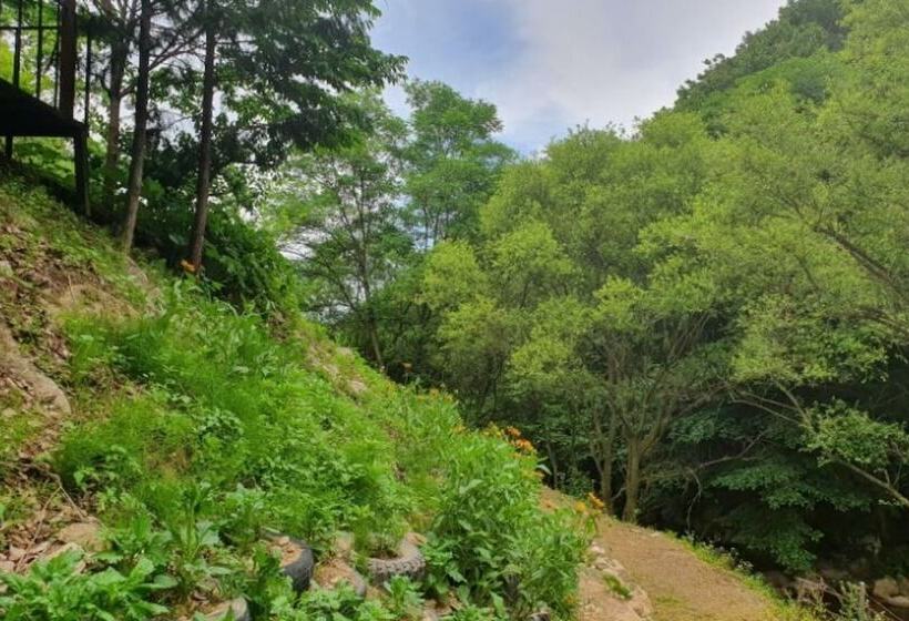 Yecheon Mulmalgeun Sangol Pension