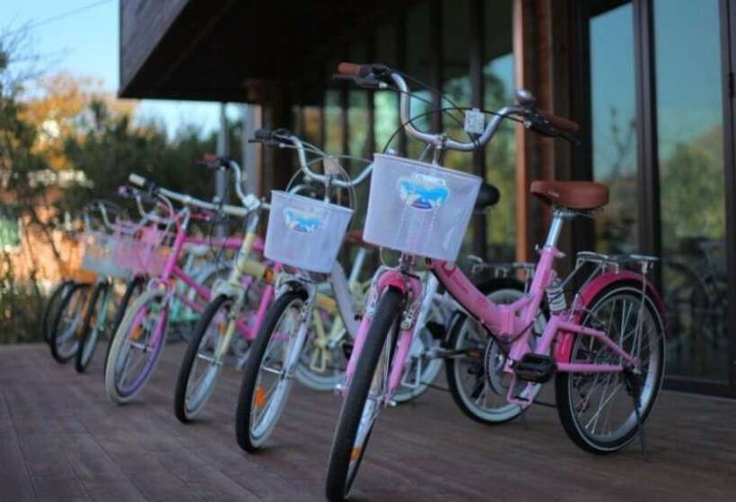 Chuncheon Beganwho Pension