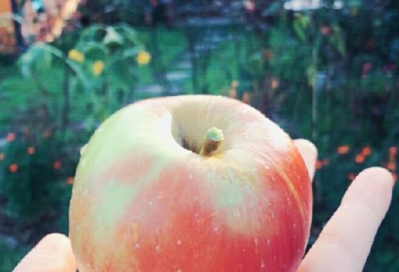 Cheongdo Aria Pension