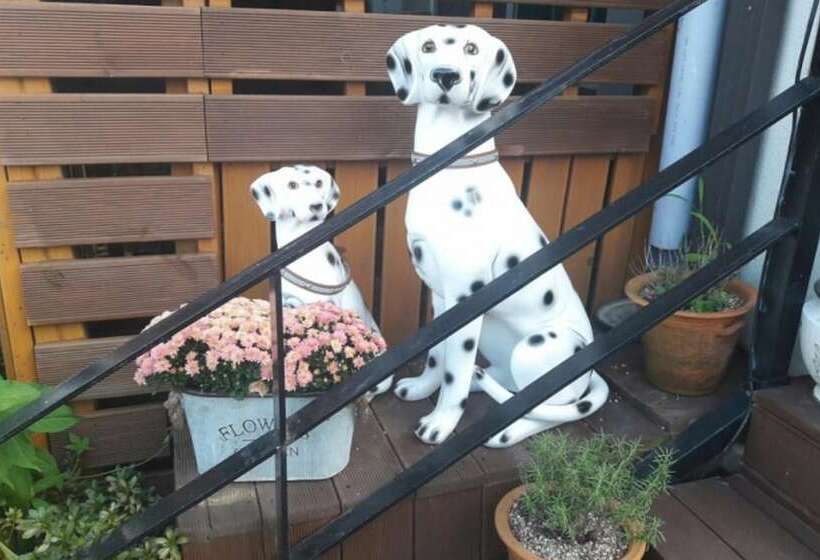 Cheongdo Bitchukje Pension