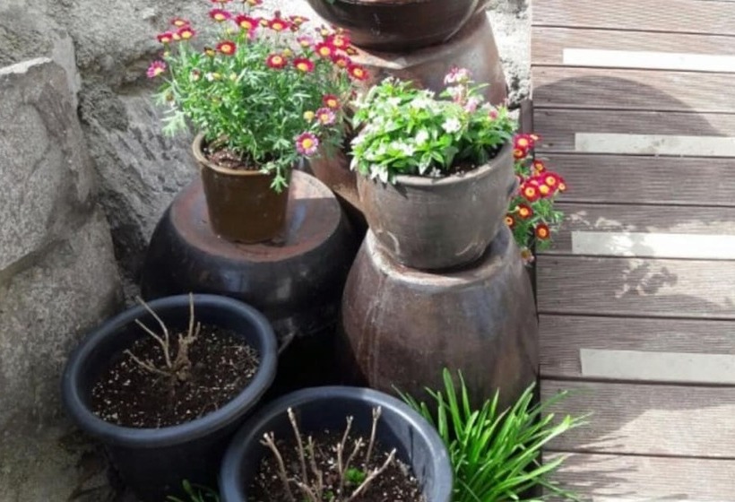 Cheongdo Bitchukje Pension