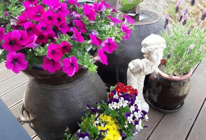 Cheongdo Bitchukje Pension