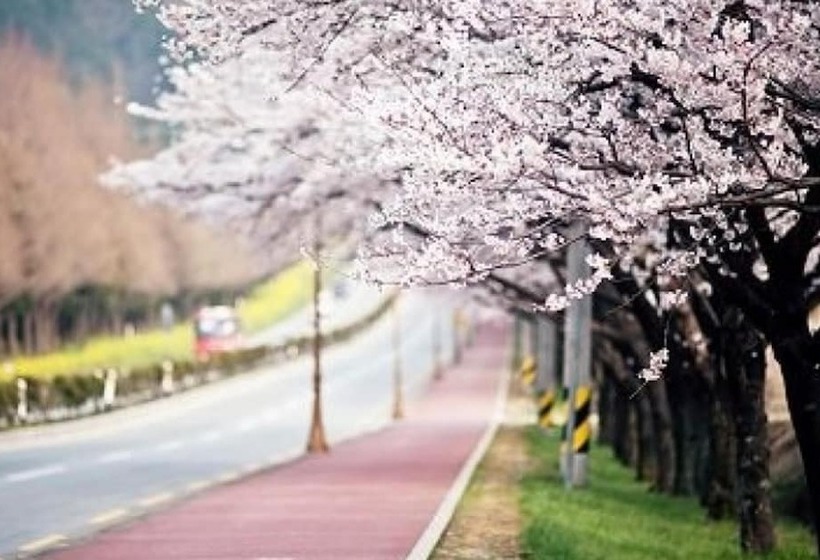 Cheongju Crapas Pension