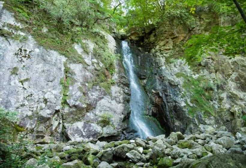 Cheorwon Finland House Pension