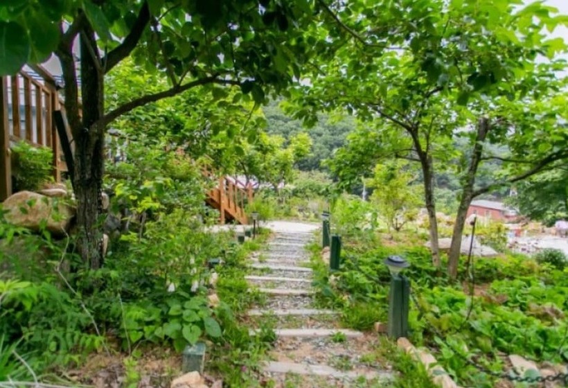 Chilgok Ts132 Pension