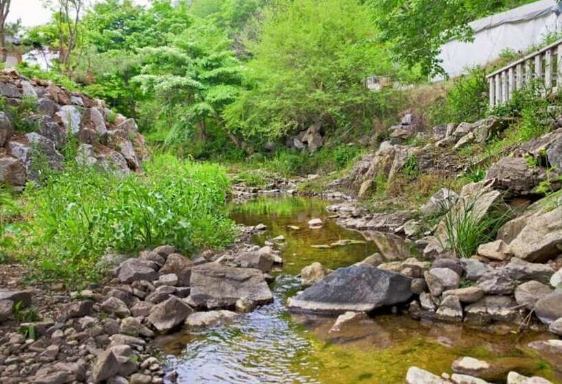 Chuncheon Serenite Pension