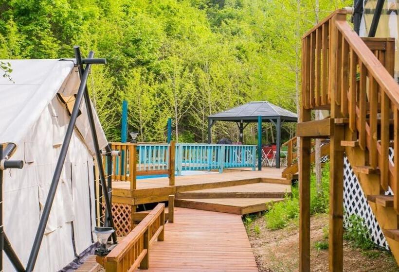 Chuncheon Yellow Hill Glamping Pension