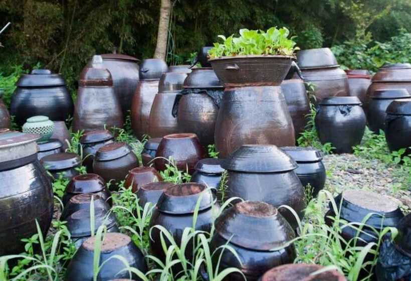 Damyang Clover Pension