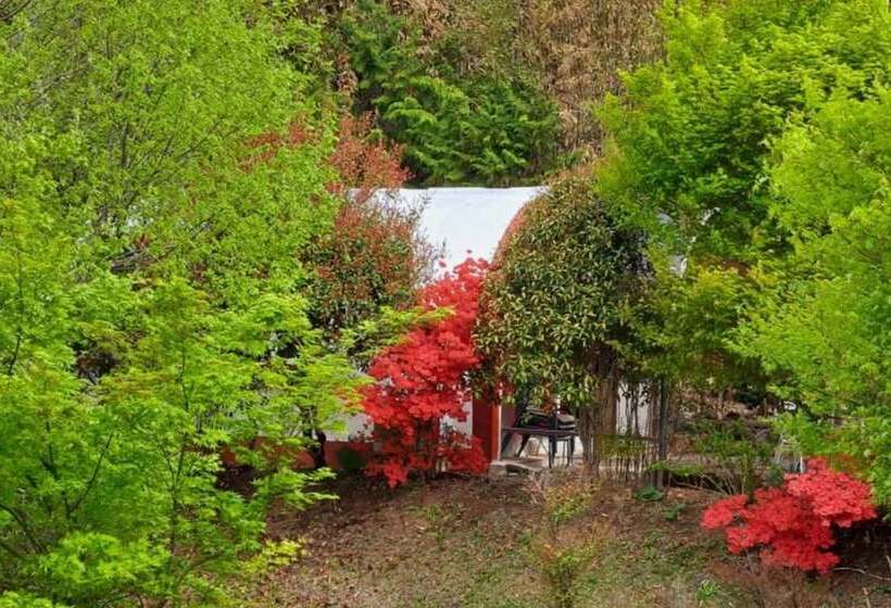 Damyang Firefly Pension