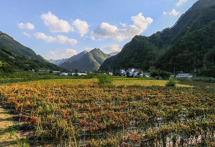 Danyang A Day In The Forest Pension