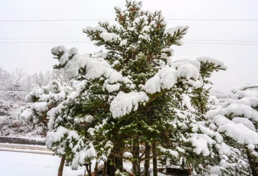 Danyang Honggane Pension