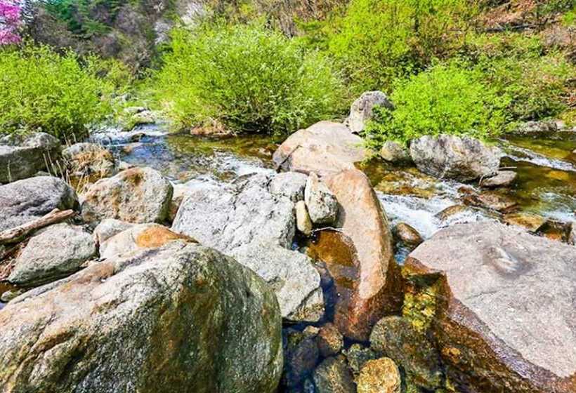 Danyang Soom House Pension