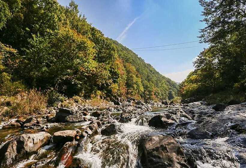 Danyang Terravill Pension