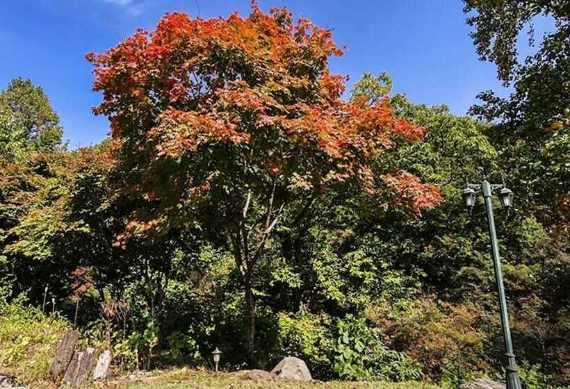 Danyang Terravill Pension