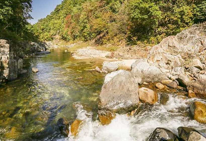 Danyang Terravill Pension