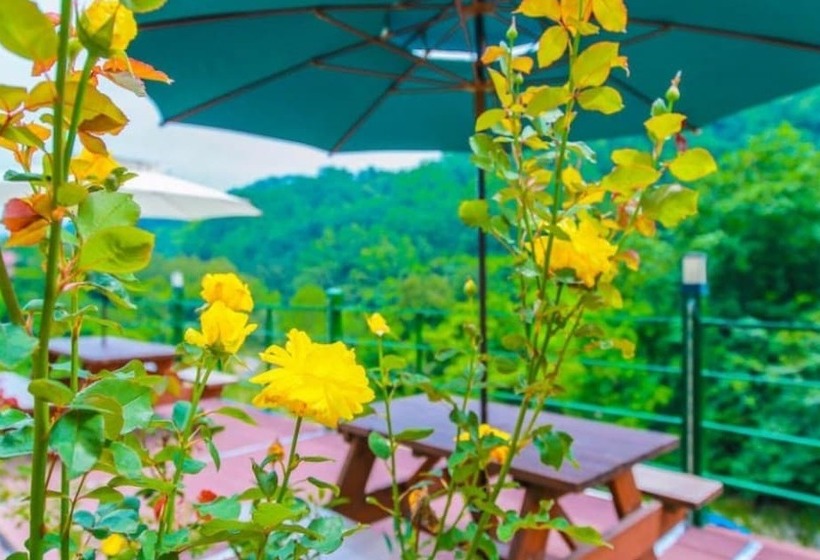 Yangyang Daol Pension