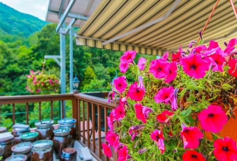 Yangyang Daol Pension