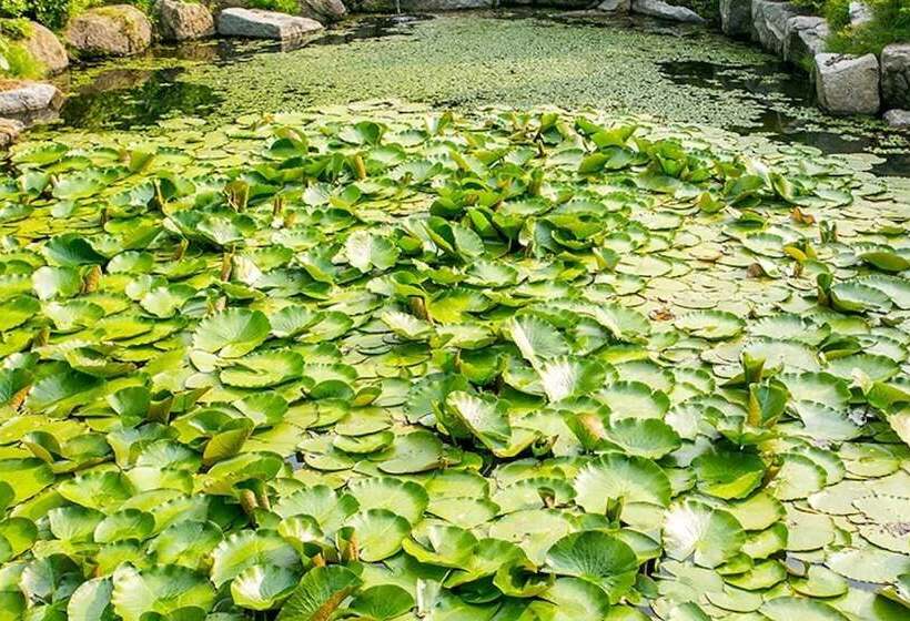 Gangneung Clay House Pension