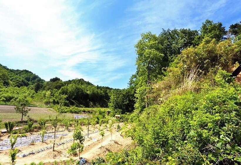 Gangneung Ijibiya Pension